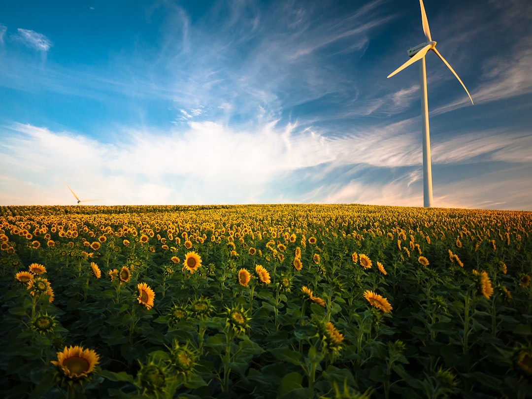 Renewable Energy in Poland